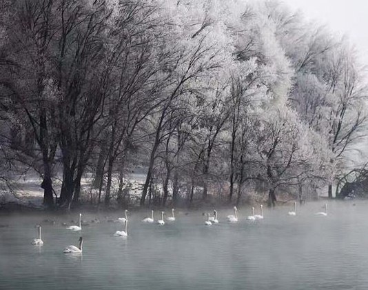 适合发朋友圈下雪的有意境的短句子