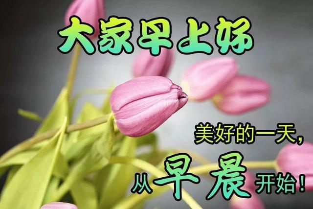 暖心早安吉祥问候语 心语大全