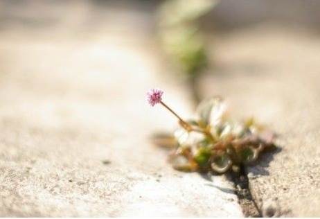 温暖早安心语带图片