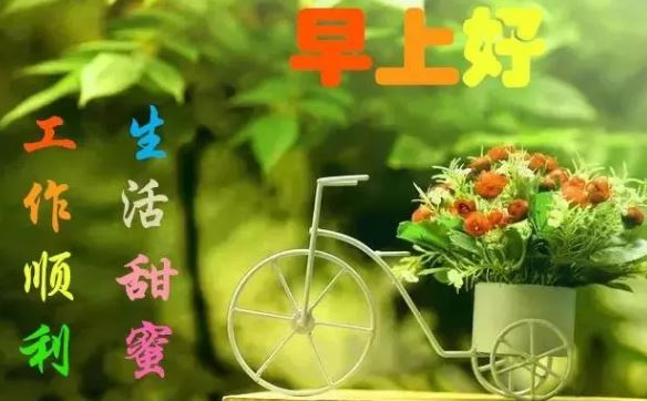 2019最新版早安问候祝福语带图片