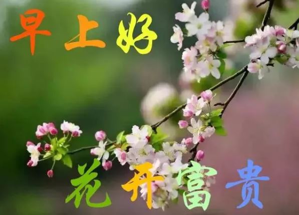 2019最新版早安问候祝福语带图片