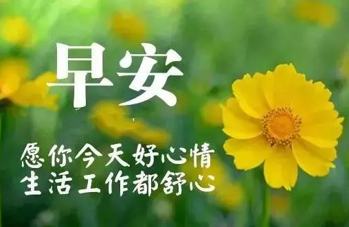 2019最新版早安问候祝福语带图片