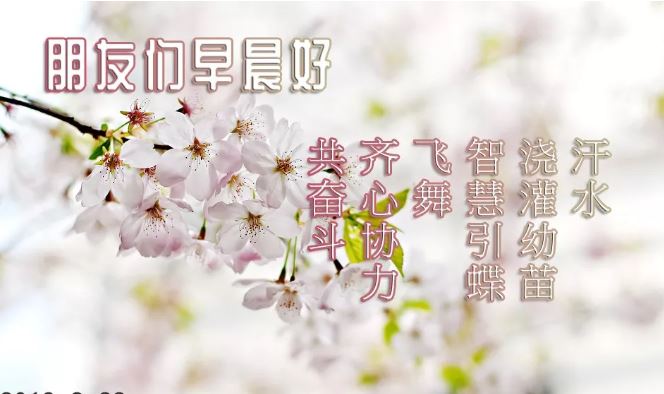 早上好唯美祝福图片带字 2019最新版清晨早安祝福句子