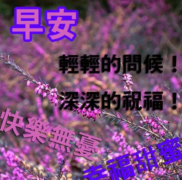 微信最美的清晨寄语动态祝福图片，很收欢迎的早上好问候图片带字