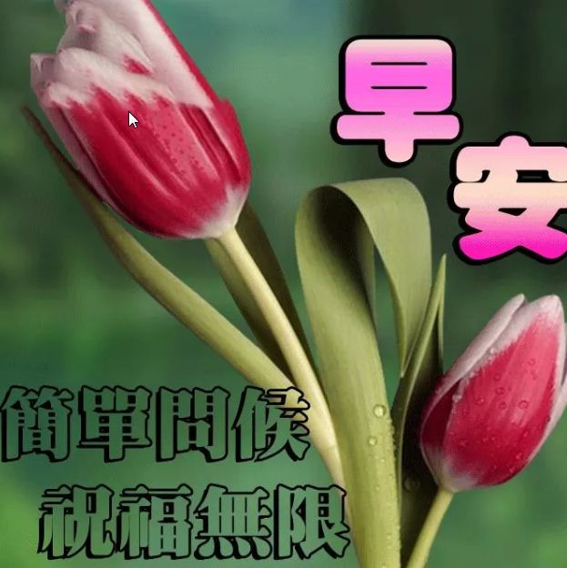 清晨最美的早安问候语动态图片，早晨特漂亮的闪动祝福图片带字