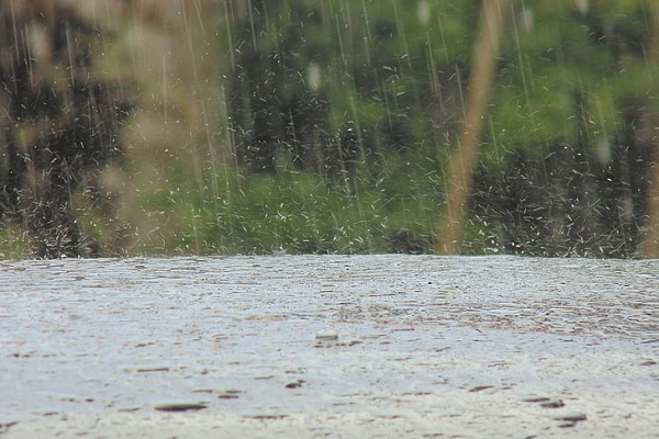 梦见春天细雨有什么预兆 梦见春天细雨好不好