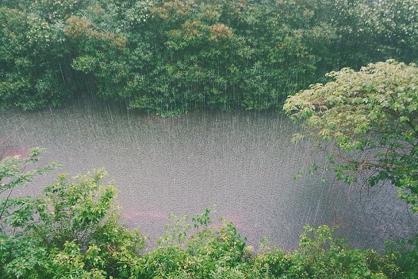 梦见暴雨发大水预示什么 梦见暴雨发大水有什么征兆