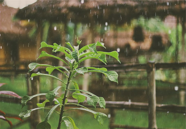 男人梦见下小雨好不好 男人梦见下小雨预示什么