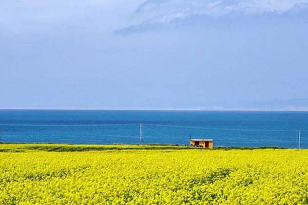 什么是青海湖大环线 什么是青海大环线