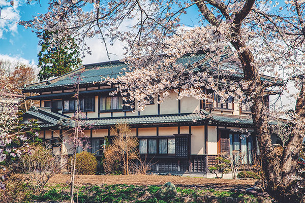 日本哪些地方可以赏樱 日本赏樱圣地