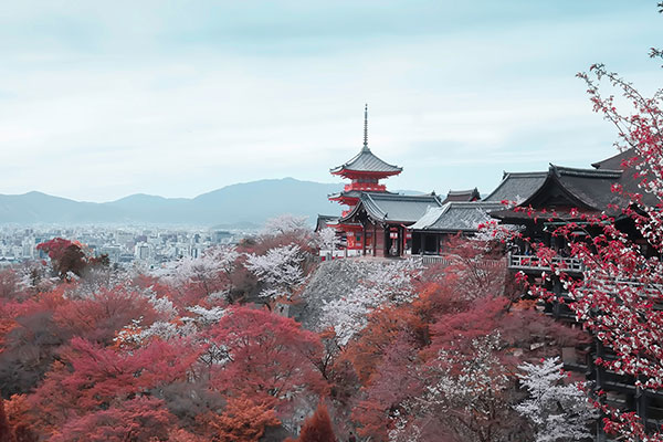 京都最佳旅行时间 几月去京都旅游最好