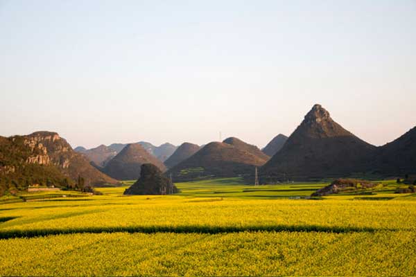 国内赏油菜花好去处 赏油菜花去哪好