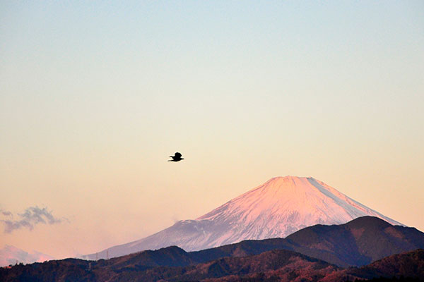 去日本富士山怎么玩 富士山一日游攻略分享 放假游玩