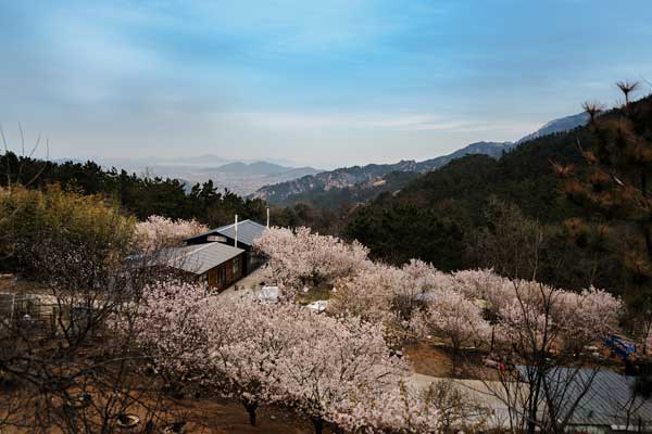 崂山要门票吗 崂山门票多少钱