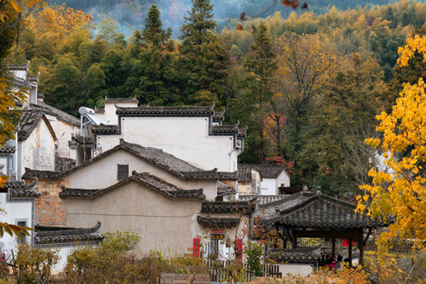 塔川要不要门票 塔川什么季节去好