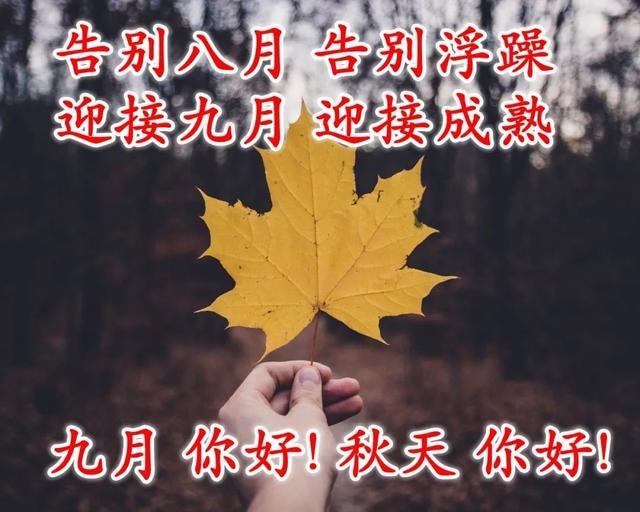 秋天时形容心情的短句 入秋感慨的句子