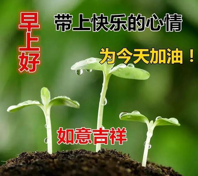 夏天早安动态表情问候图片最新版2020