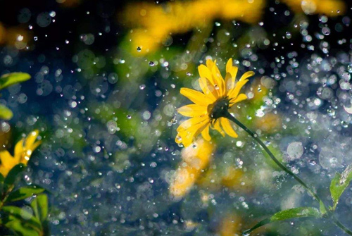 关于秋雨的唯美句子 秋雨说说唯美句子