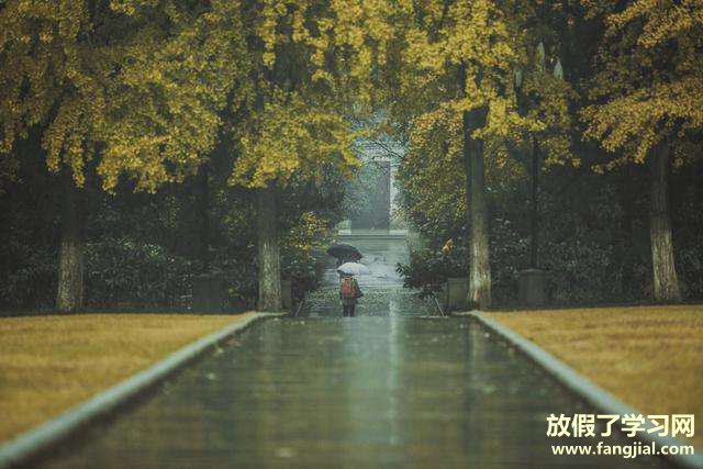 下雨天的心情经典句子