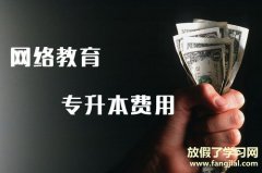 远程教育是怎样的教学方式？