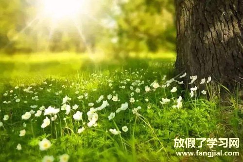 形容最近不顺的句子 事事不顺心很烦的说说