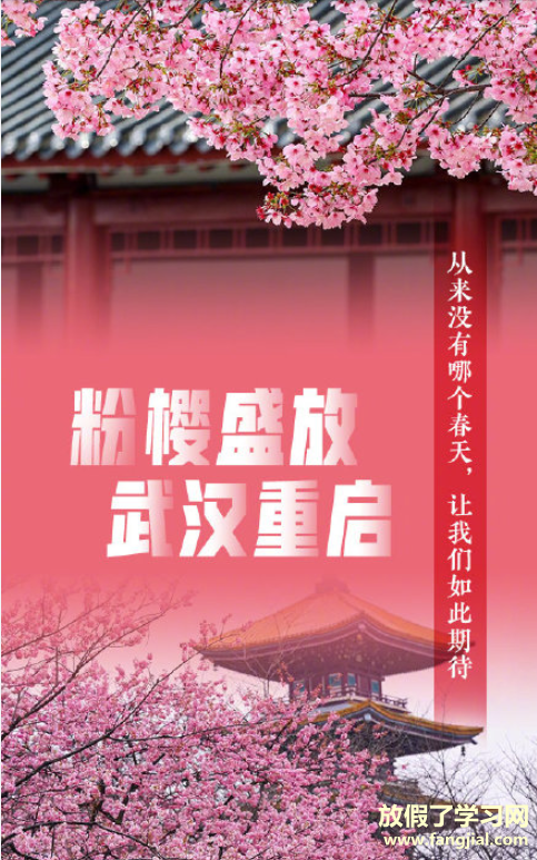 你的2020是什么颜色 2020每个颜色含义是什么