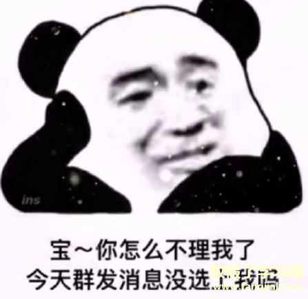 模仿王思聪舔狗朋友圈文案2